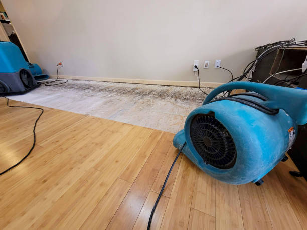 Reliable Basement Flood Cleanup contractor in Carleton, MI by Hirex Water Damage