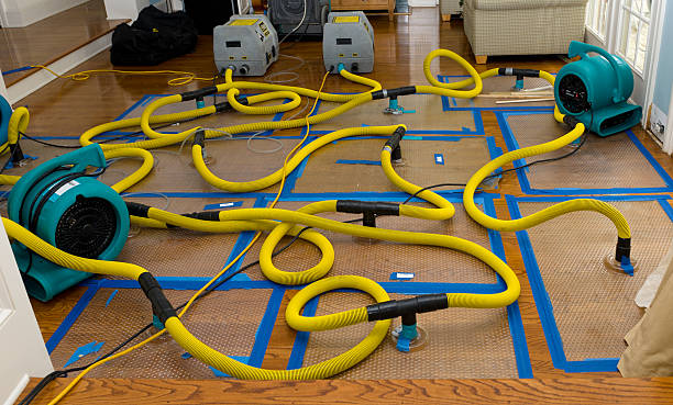 Professional Basement Flood Cleanup technician working in Carleton, MI